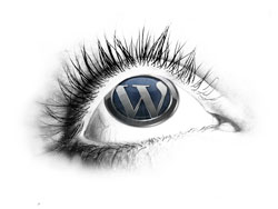 Скрытые ссылки в темах WordPress и плагин TAC